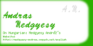 andras medgyesy business card